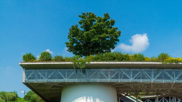 ビルの屋上を緑化したい時はどんな対応が必要なのだろう？